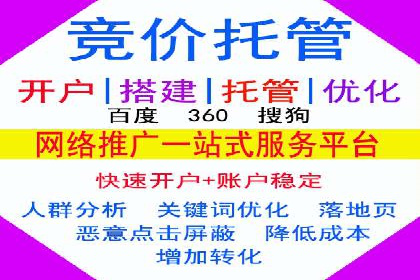 深入剖析SEM公司成功案例：数据驱动的广告策略