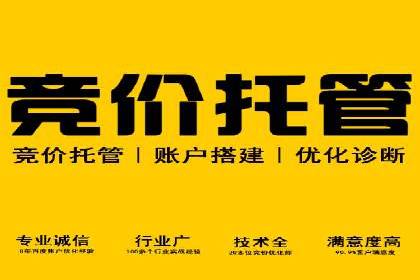 案例分享：如何通过竞价提升品牌知名度